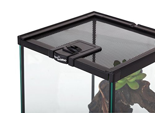 REPTIZOO Mini Reptile Glass Terrarium Tank 8" x 8" x 12" Full View Visually Appealing Top Feeding & Venlitation Small Reptile Glass Habitat