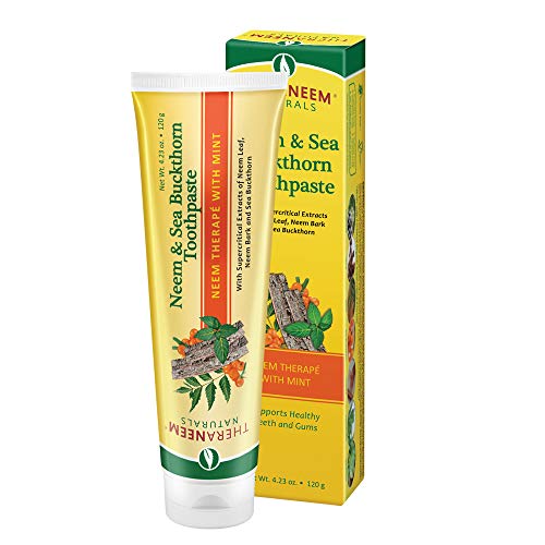 TheraNeem Neem & Sea Buckthorn Toothpaste, Mint | Supports Clean, Healthy Teeth and Gums | No Fluoride, Vegan | 4.23oz