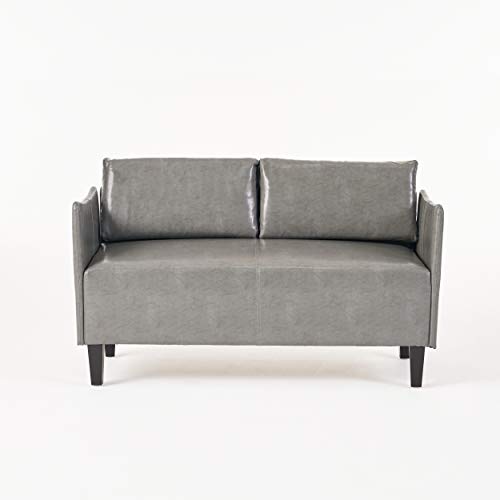 Christopher Knight Home Nyx Leather Loveseat, Grey