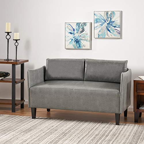 Christopher Knight Home Nyx Leather Loveseat, Grey