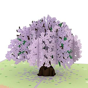 lovepop jacaranda tree pop up card, 5x7-3d greeting card, mother's day card, card for wife or mom, anniversary pop up card, pop up birthday card