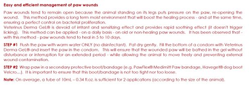 Veterinus Derma GeL® PAW Care Pack with 5 x Mini Tubes 10mL - 0.34 fl.oz. - CAT Safe Non Toxic Contains: Freeze Dried Lavender extr. (no Essential Oil)