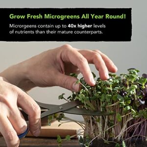 Microgreens Seeds Kit – Micro Greens Sprout Seeds Variety 5 Pack – Includes Broccoli, Beets, Arugula, Spicy and Mild Mix Microgreen Seeds for Planting and Sprouting Indoor – 100% Non-GMO