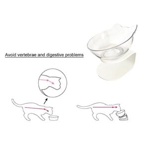 QIYADIN Tilted Raised Posture Cat Food Bowl Neck Protection Anti Vomiting 15 Degree Elevated Slanted Stand Pet Bowls for Cats and Small Dogs (Single)