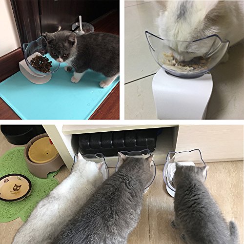 QIYADIN Tilted Raised Posture Cat Food Bowl Neck Protection Anti Vomiting 15 Degree Elevated Slanted Stand Pet Bowls for Cats and Small Dogs (Single)