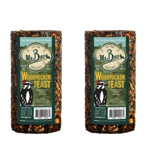 2-pack of mr. bird woodpecker feast small wild bird seed cylinder 1 lb. 14 oz.