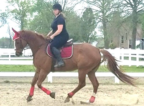 Lift Sports New Horse English Saddle Pad Set Matching Fly Bonnet Veil Ear Net Polyester Hand Made Crochet Full Size Equestrian Shows Tack