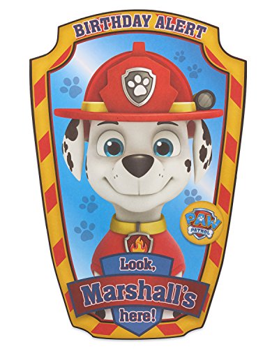 American Greetings Kids Birthday Card (Paw Patrol)