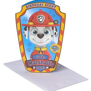 American Greetings Kids Birthday Card (Paw Patrol)