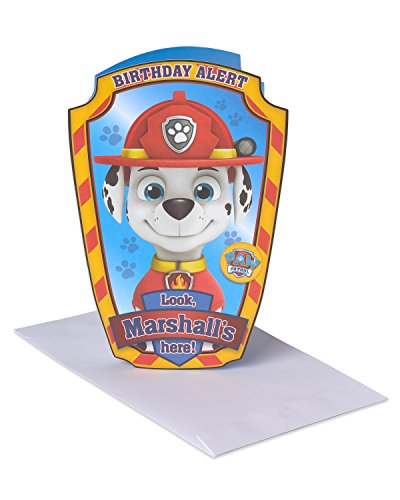 American Greetings Kids Birthday Card (Paw Patrol)