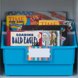 Really Good Stuff Picture Book Library Bins with Dividers - 12-Pack Rainbow