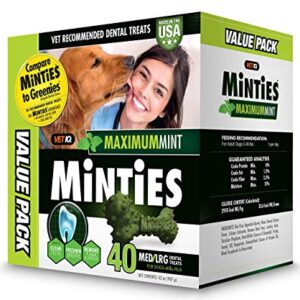 VetIQ Minties Dog Dental Bone Treats, Dental Chews for Dogs, (Perfect for Medium / Large Dogs over 40 lbs)