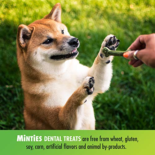 VetIQ Minties Dog Dental Bone Treats, Dental Chews for Dogs, (Perfect for Medium / Large Dogs over 40 lbs)