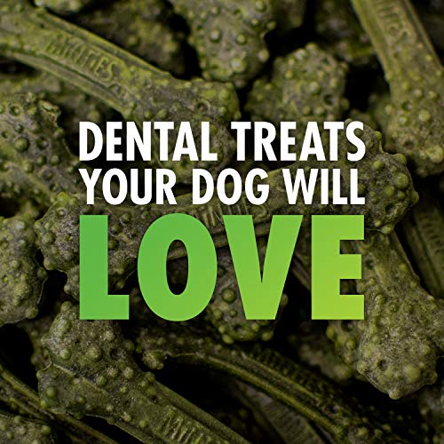 VetIQ Minties Dog Dental Bone Treats, Dental Chews for Dogs, (Perfect for Medium / Large Dogs over 40 lbs)