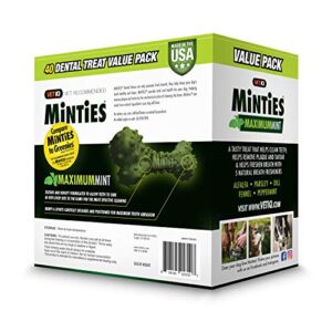 VetIQ Minties Dog Dental Bone Treats, Dental Chews for Dogs, (Perfect for Medium / Large Dogs over 40 lbs)