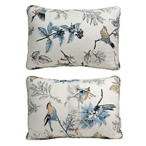 Brandream 100% Cotton Quilted Pillow Shams 2-Piece Standard Size American Country Birds Printing Pillow Shams Bedroom Decor, Beige