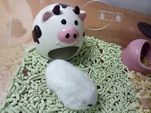 Small Animal Hideout Ceramic House Critter Bath House Cave Mini Hut Cage for Chinchilla Hamster (White)