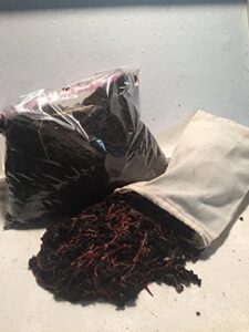 250 red worms red wigglers compost worms
