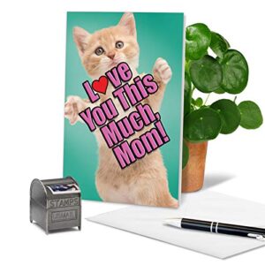 NobleWorks - 1 Funny Animal Birthday Card with Envelope - Cute Card for Birthdays - Cat Love You This Much Mom C6610GBMG