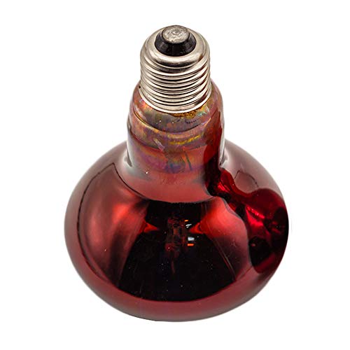 Fengrun Infrared Heat Lamp 100 watt Red Hard Glass Waterproof Explosion-Proof Light Bulb for Chicken Pig Farm Pets Physiotherapy Bathroom in Winter(100w,120V)