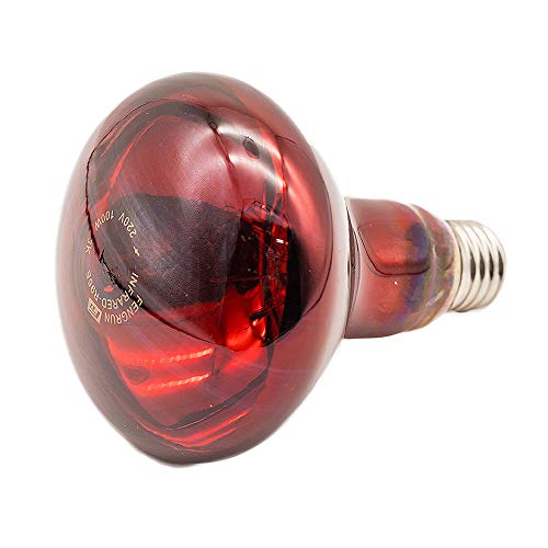 Fengrun Infrared Heat Lamp 100 watt Red Hard Glass Waterproof Explosion-Proof Light Bulb for Chicken Pig Farm Pets Physiotherapy Bathroom in Winter(100w,120V)