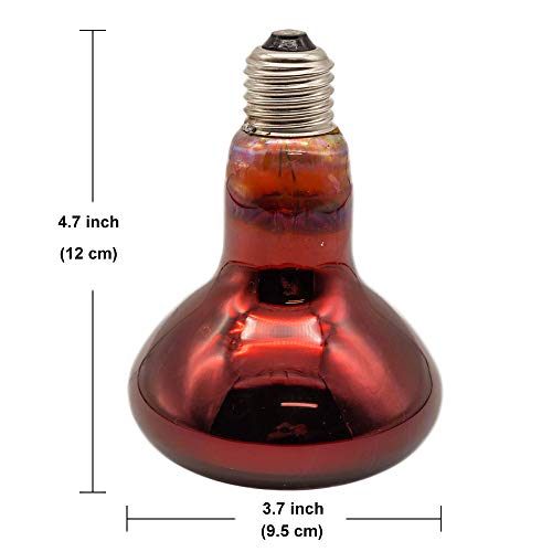 Fengrun Infrared Heat Lamp 100 watt Red Hard Glass Waterproof Explosion-Proof Light Bulb for Chicken Pig Farm Pets Physiotherapy Bathroom in Winter(100w,120V)