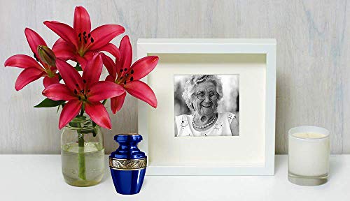 Trupoint Memorials Cremation Urns for Human Ashes - Decorative Urns, Urns for Human Ashes Female & Male, Urns for Ashes Adult Female, Funeral Urns - Blue, 4 Small Keepsakes