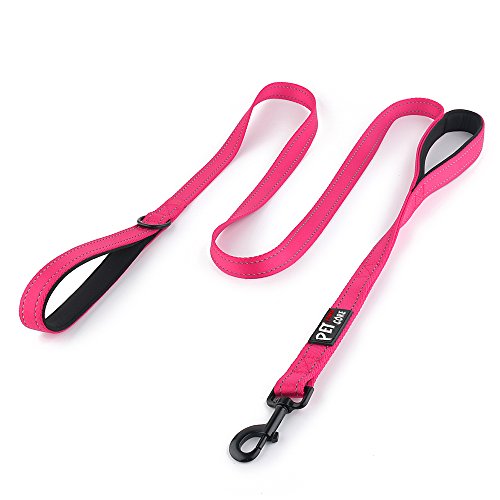 Pioneer Petcore™ Dog Leash 6ft long,Traffic Padded Two Handle,Heavy Duty,Reflective Double Handles Lead for Control Safety Training,Leashes for Large Dogs or Medium Dogs,Dual Handles Leads(Pink)