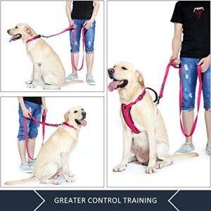 Pioneer Petcore™ Dog Leash 6ft long,Traffic Padded Two Handle,Heavy Duty,Reflective Double Handles Lead for Control Safety Training,Leashes for Large Dogs or Medium Dogs,Dual Handles Leads(Pink)