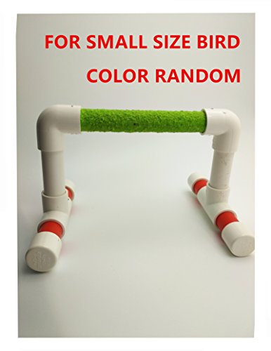 Hypeety Small Bird Parrot Stand Perch Table Top Stand Playground Grind Perch Swing Training Playstand Exercise Chew Toys for Budgies Parakeet Cockatiel Conure Finch (Perch, M)