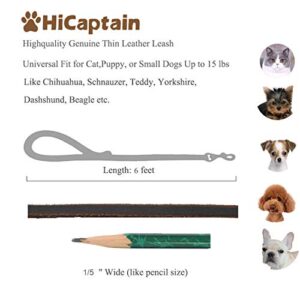 HiCaptain Thin Leather Pet Leash, Durable Dog Leashes Suit for Small Dog Up to 15 lb 00(1/5 inch Wide, 6 Ft) Brown