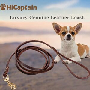 hicaptain thin leather pet leash, durable dog leashes suit for small dog up to 15 lb 00(1/5 inch wide, 6 ft) brown