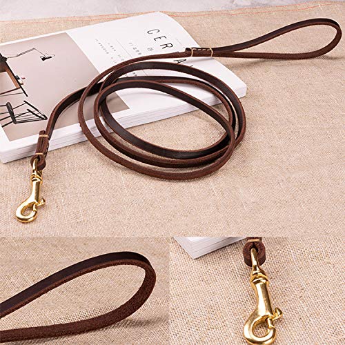 HiCaptain Thin Leather Pet Leash, Durable Dog Leashes Suit for Small Dog Up to 15 lb 00(1/5 inch Wide, 6 Ft) Brown