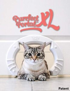 purrfect portal xl pet cat door for interior doors :: molded plastic kitty cat pass for large cats up to 30 lbs :: installs in minutes, stays on securely, easy to follow instructions + hardware, white