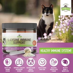 L-Lysine for Cats Supplement Powder Granules for Cat Cold, Sneezing, Congestion, Running Nose, Respiratory, Allergy Relief | Cats & Kittens of All Ages | Cat Health Supplies