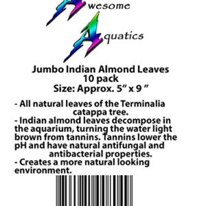 Awesome Aquatic Jumbo Betta/Shrimp Leaves 10 Premium Catappa Indian Almond Leaves Jumbo 7"-9" in Natural Habitat Tannin Producing Improves Immunity, Easy to USE…