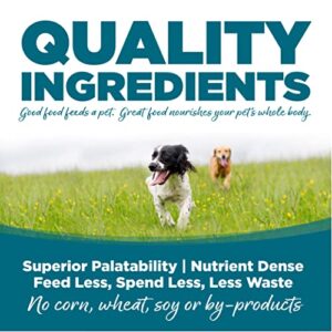 Nutrisource Adult Chicken & Rice Dog Food 5Lb