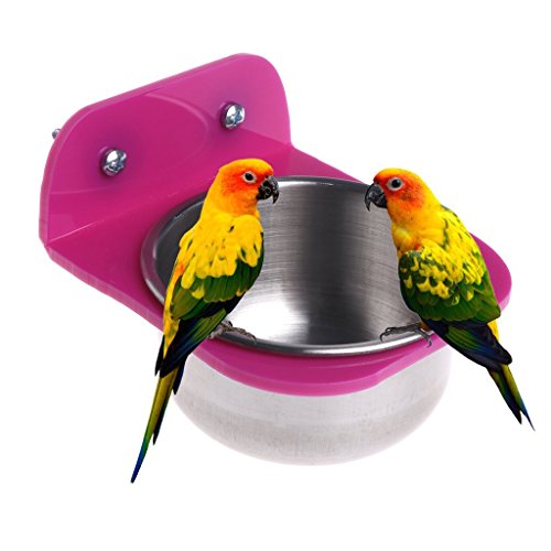 Hypeety Pet Birds Feeder Bowl Mirror Chew Toy Stainless Steel Cup Intelligence Toy for Small Parrots Macaw, African Greys, Cockatiels, Conure Cage Standing Swing Perch (Cage Cup L (3.31×2.05×1.97"))