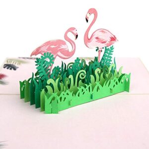 paper spiritz flamingo 3d pop up greeting card,3d greeting cards, thank you, happy birthday, mother's day cards,all occasion, with envelope