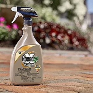 Roundup 5107300 Extended Control Weed and Grass Killer Plus Weed Preventer II Ready-to-Use Trigger Spray, 24-Ounce (2 Pack(24 oz bottles))