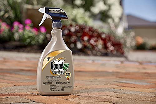 Roundup 5107300 Extended Control Weed and Grass Killer Plus Weed Preventer II Ready-to-Use Trigger Spray, 24-Ounce (2 Pack(24 oz bottles))