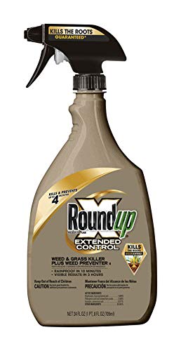 Roundup 5107300 Extended Control Weed and Grass Killer Plus Weed Preventer II Ready-to-Use Trigger Spray, 24-Ounce (2 Pack(24 oz bottles))