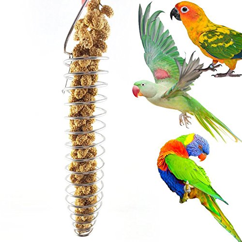 Heaven2017 Spiral Birds Feeder, Stainless Steel Millet Treat Fruit Holder for Parrot