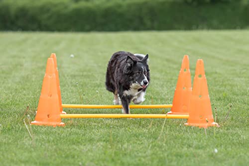 TRIXIE Dog Agility Hurdle Cone Set, Portable Canine Agility Training Set, 6 Exercise Cones with 3 Agility Rods