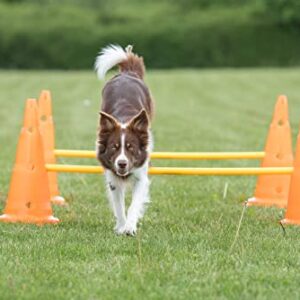 TRIXIE Dog Agility Hurdle Cone Set, Portable Canine Agility Training Set, 6 Exercise Cones with 3 Agility Rods