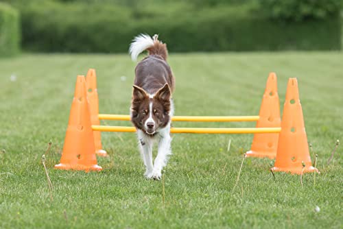 TRIXIE Dog Agility Hurdle Cone Set, Portable Canine Agility Training Set, 6 Exercise Cones with 3 Agility Rods