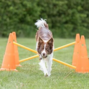 TRIXIE Dog Agility Hurdle Cone Set, Portable Canine Agility Training Set, 6 Exercise Cones with 3 Agility Rods