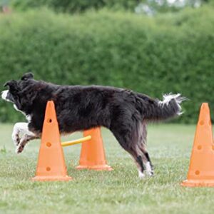 TRIXIE Dog Agility Hurdle Cone Set, Portable Canine Agility Training Set, 6 Exercise Cones with 3 Agility Rods