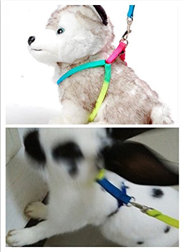 Rabbit Harness Lead Leash Soft Nylon, Adorable Colorful Rainbow Adjustable Harness Collar, Outdoor Walking Buckle Leash