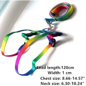 Rabbit Harness Lead Leash Soft Nylon, Adorable Colorful Rainbow Adjustable Harness Collar, Outdoor Walking Buckle Leash